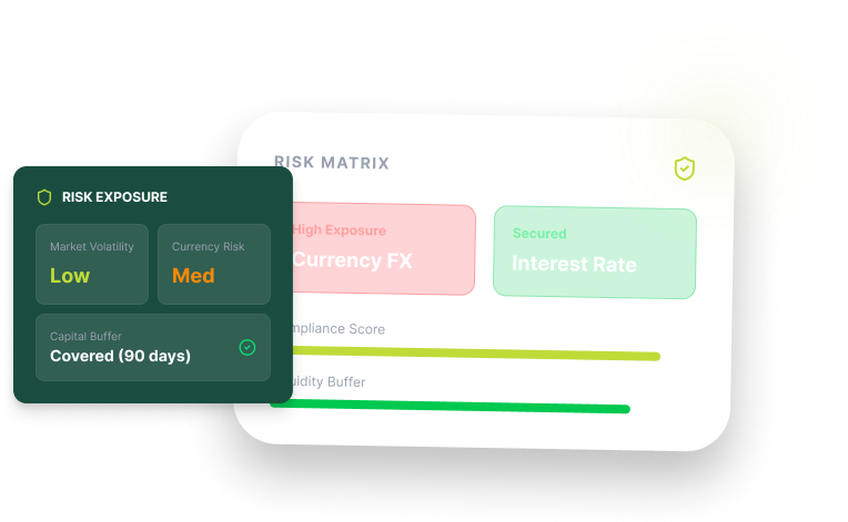 financial risk management services